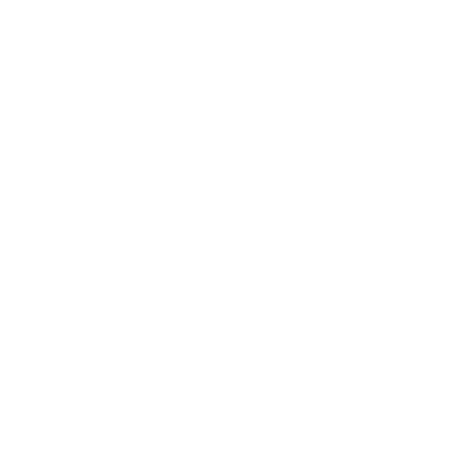 SSA Academy